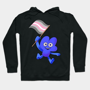 Demigirl Pride Flag Four! Hoodie